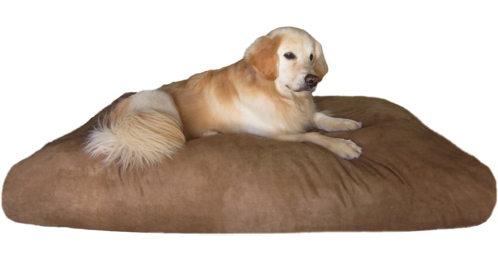 Choosing the best pet grooming parlour